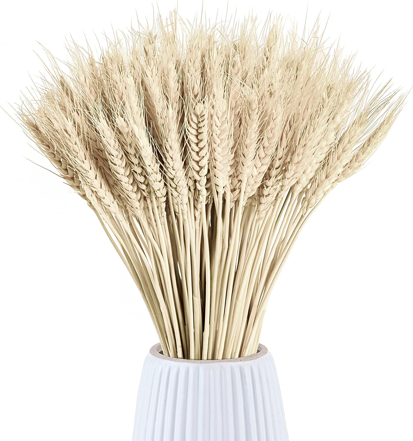 Dried Wheat Stalks